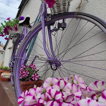 Vendégház Time Out