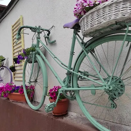 Affittacamere Time Out